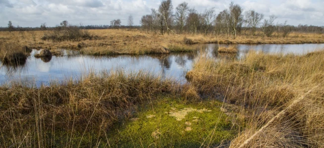 Werkgroep strijdt tegen pesticiden in de Peel