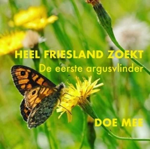 Wie ziet de eerste argusvlinder in Friesland?